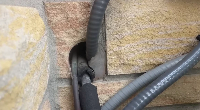 Rodent proofing and exclusion before in caldwell idaho