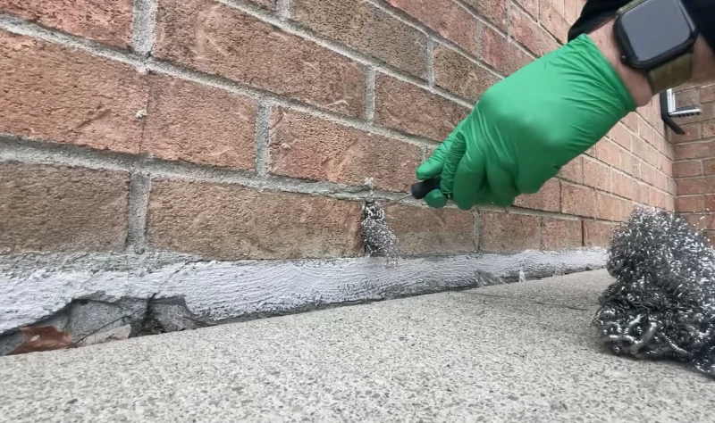 Sealed rodent entry points after proofing